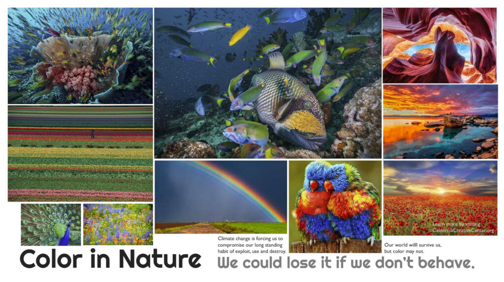 color in nature.jpg
